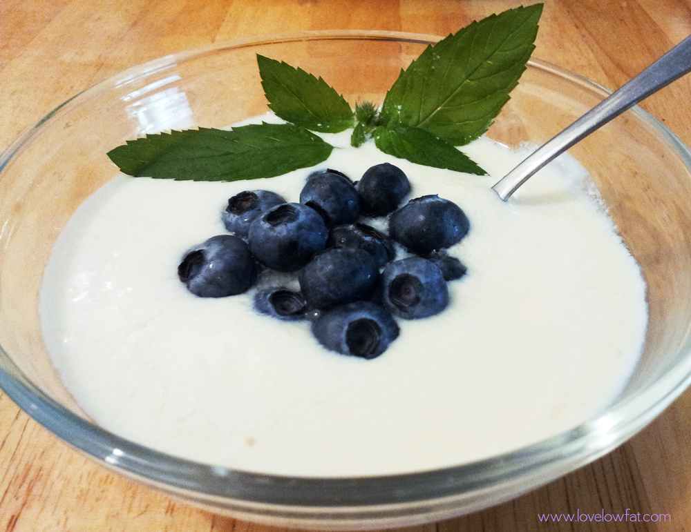 http://www.lovelowfat.com/wp-content/uploads/2015/07/lovelowfat-home-made-soy-yogurt.jpg